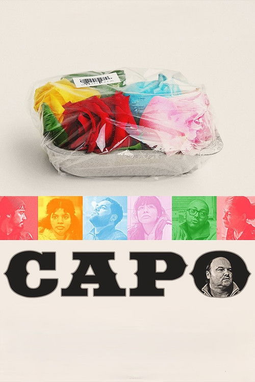 CAPO (2025) poster
