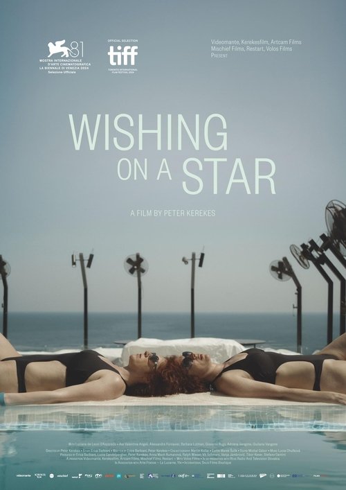Wishing on a Star (2024) poster