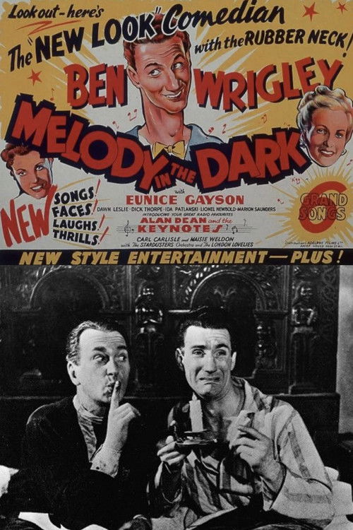 Melody in the Dark (1949) poster