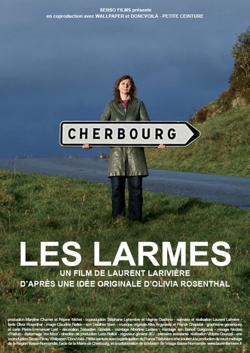 Les Larmes (2010) poster