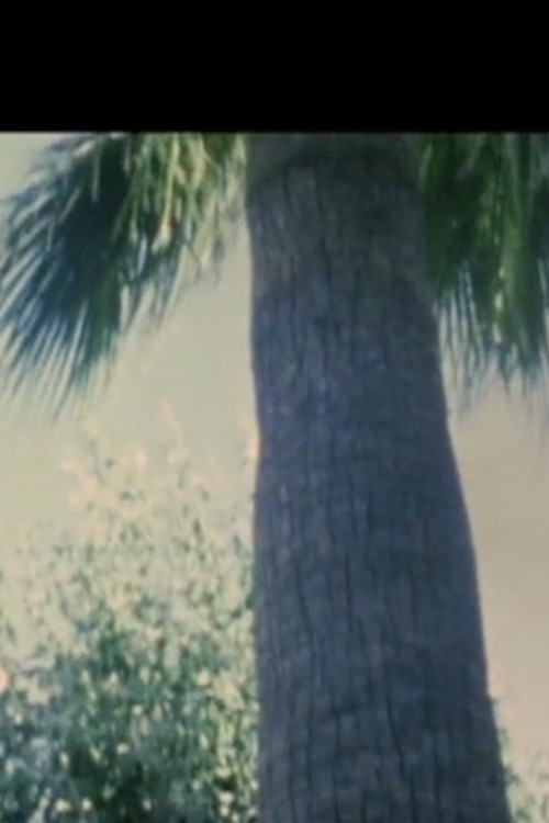 Turkish Delight (2010) poster