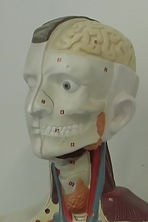 Cinema Exercises (2007) poster