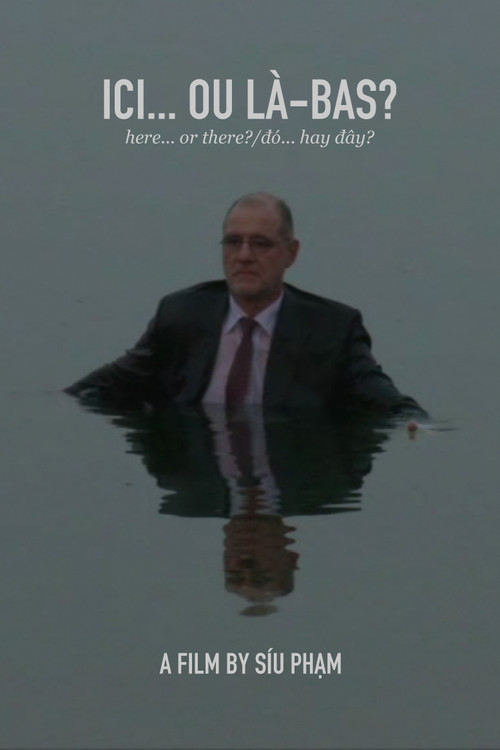 Here... or There? (2011) poster