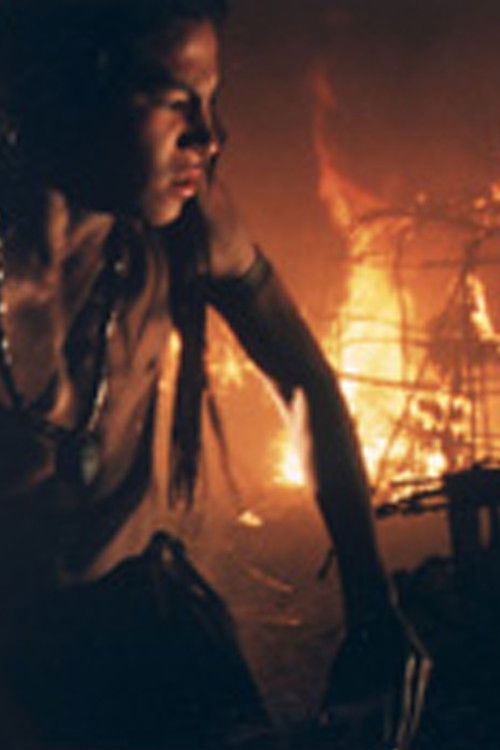 The Witness (1998) poster