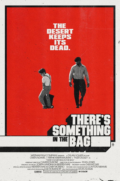 There's Something in the Bag (2026) poster