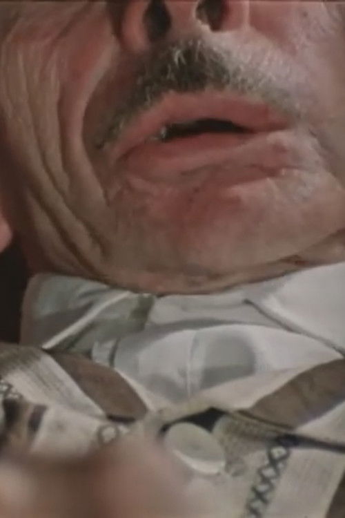 Inwentaryzacja (1970) poster