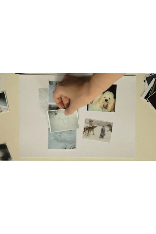 Ver nieve [To See Snow] (2016) poster