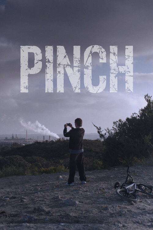 Pinch (2015) poster