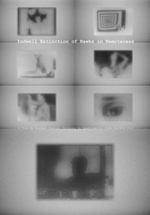 Indwell Extinction of Hawks in Remoteness (2012) poster