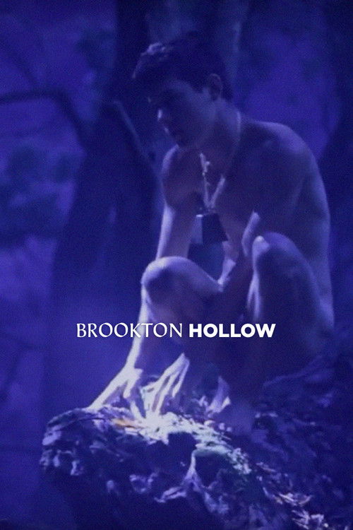 Brookton Hollow (2010) poster