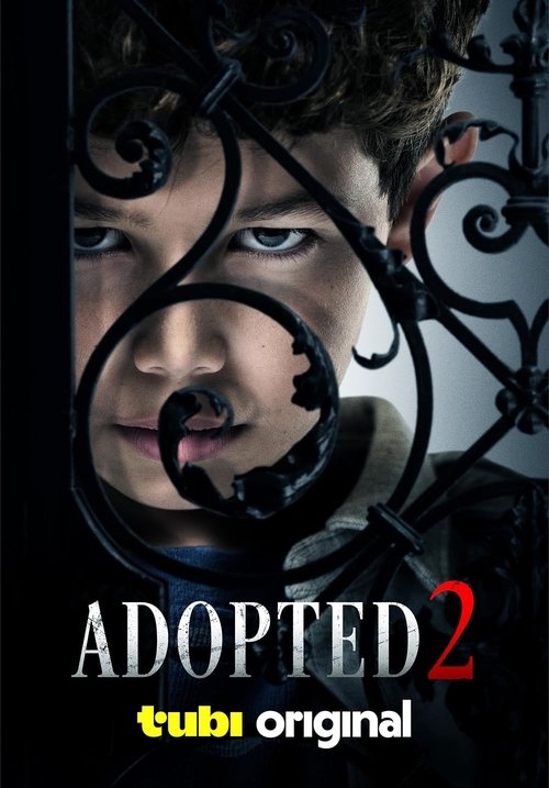 Adopted 2 (2025) poster