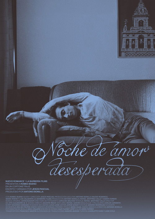 Noche de amor desesperada (2025) poster
