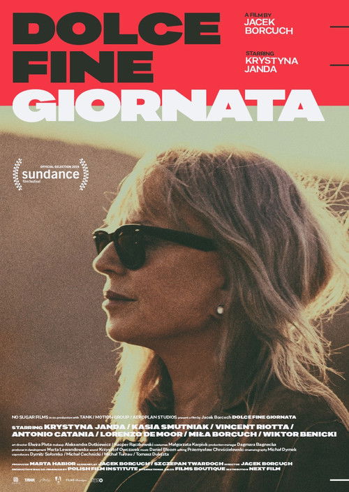 Dolce Fine Giornata (2019) poster