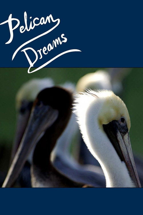 Pelican Dreams (2014) poster