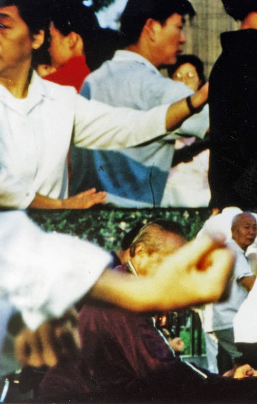 A Escala Del Hombre (1992) poster