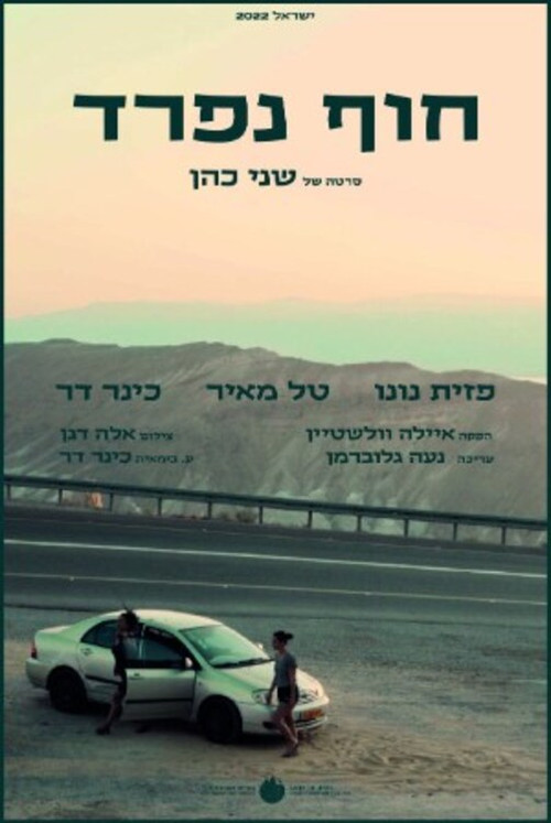 Different Shores (2022) poster