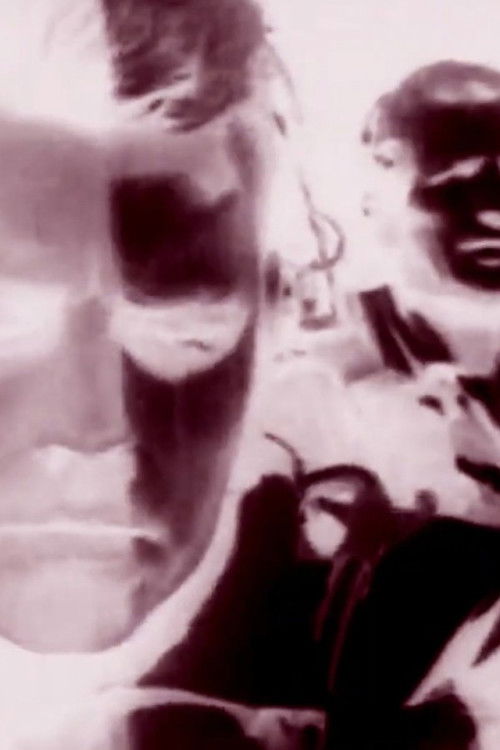 Duck and Cover (2025) poster