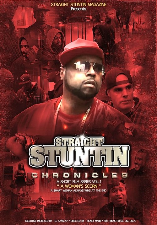 Straight Stuntin Chronicles: Volume 1 - A Woman's Scorn (2015) poster