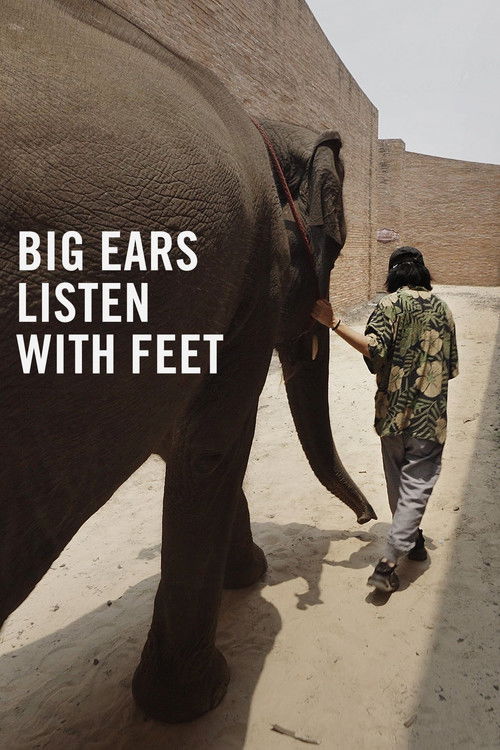 Big Ears Listen with Feet (2022) poster