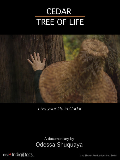 Cedar Tree of Life (2018) poster