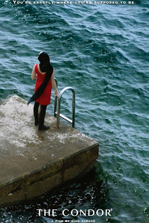 The Condor (2015) poster