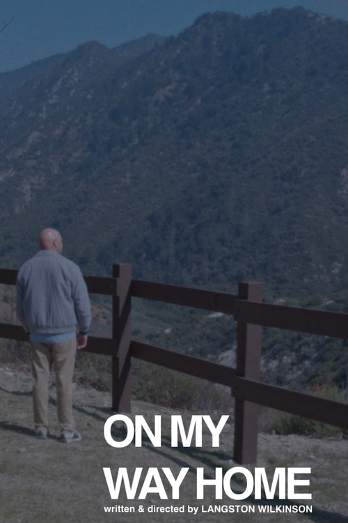 On My Way Home (2025) poster
