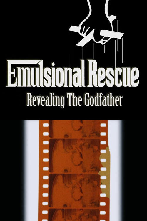 Emulsional Rescue: Revealing 'The Godfather' (2008) poster
