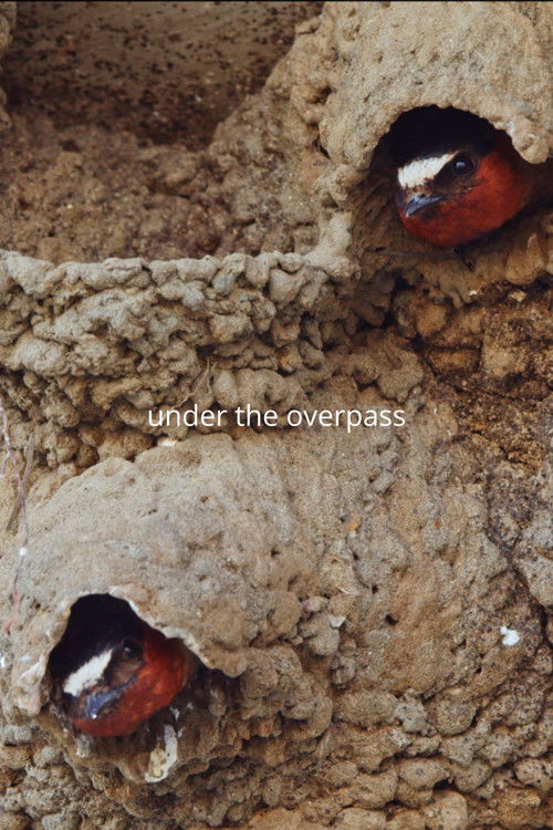 Under the Overpass (2025) poster