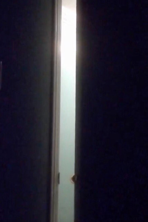 Truth & Illusion (2017) poster