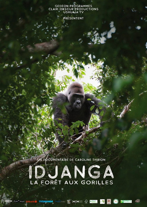 Idjanga, la forêt aux gorilles (2022) poster