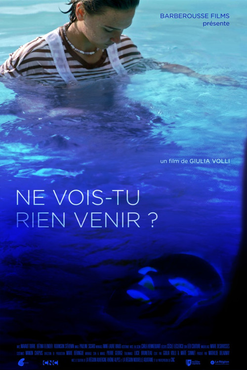 Ne vois-tu rien venir ? (2023) poster
