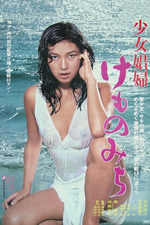 少女娼婦 けものみち (1980) poster