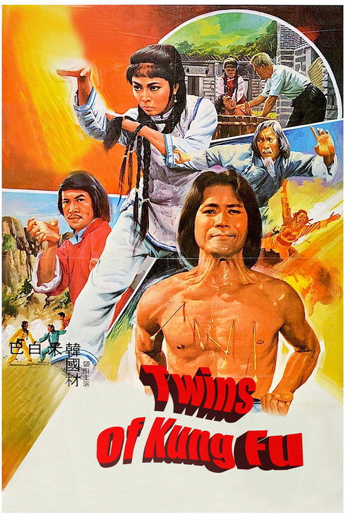 Twins of Kung Fu (1981) poster
