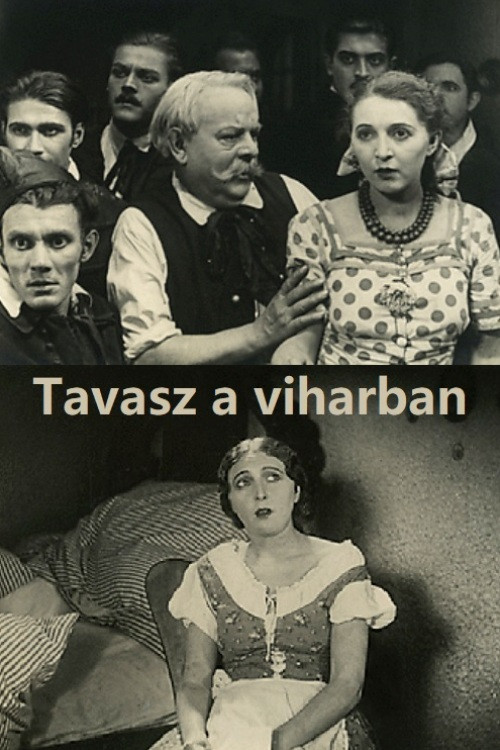 Tavasz a viharban (1929) poster