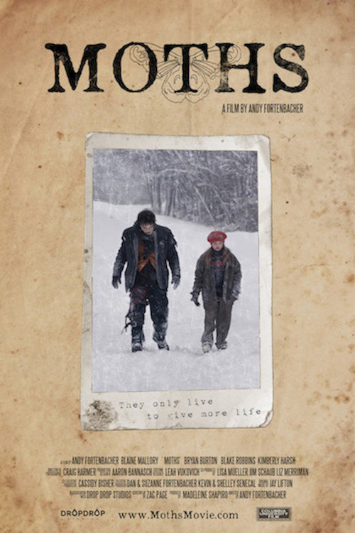 Moths (2014) poster