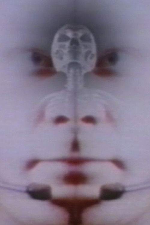 Twice the Universe (1993) poster