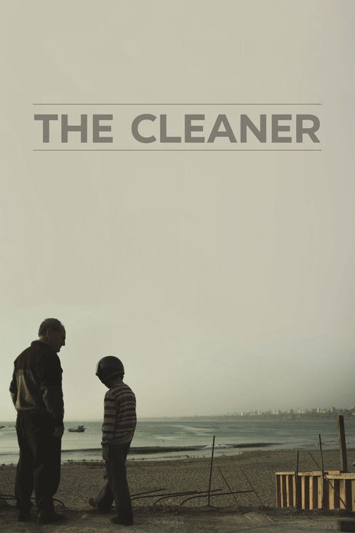 The Cleaner (2013) poster