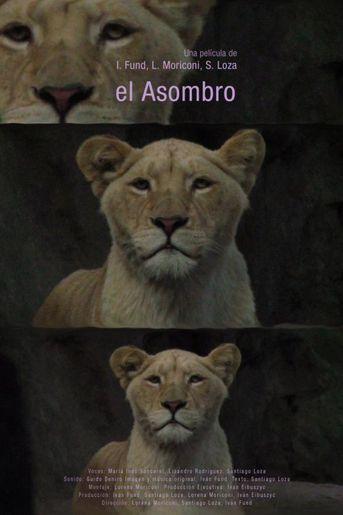 El asombro (2014) poster