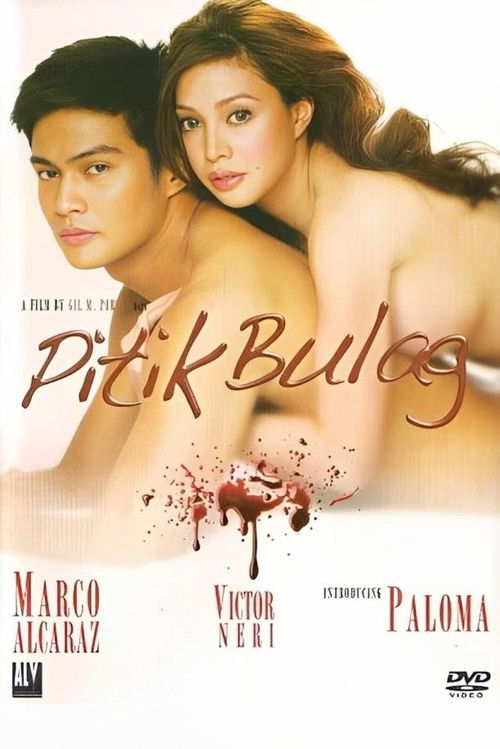 Pitik Bulag (2009) poster