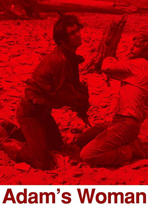 Sürgün (1970) poster