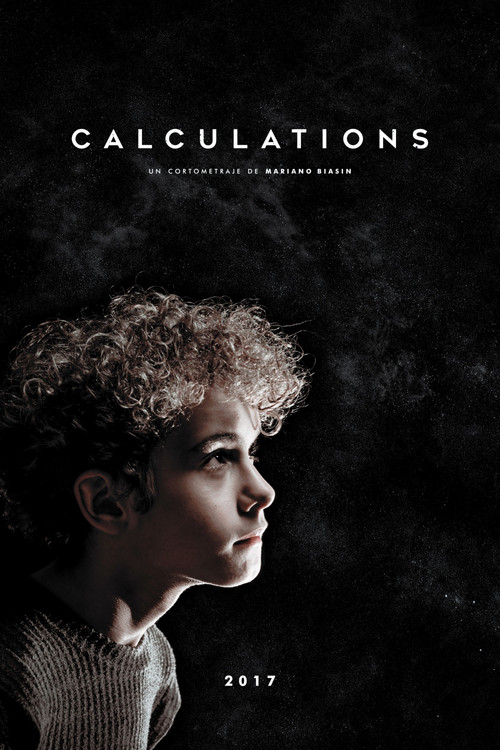 Calculations (2018) poster