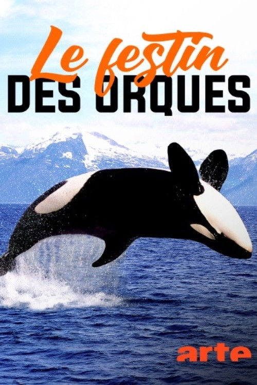 Norvège : le festin des orques (2021) poster