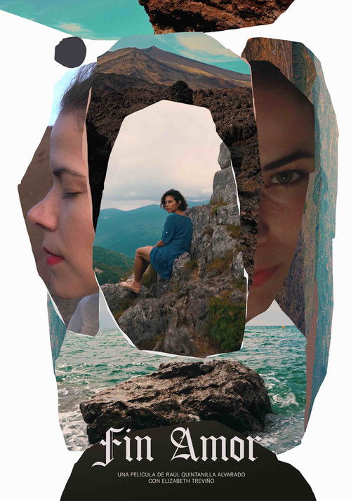 Fin Amor (2019) poster