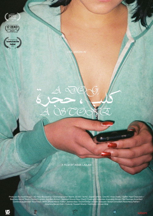 A Dog, A Stone (2023) poster