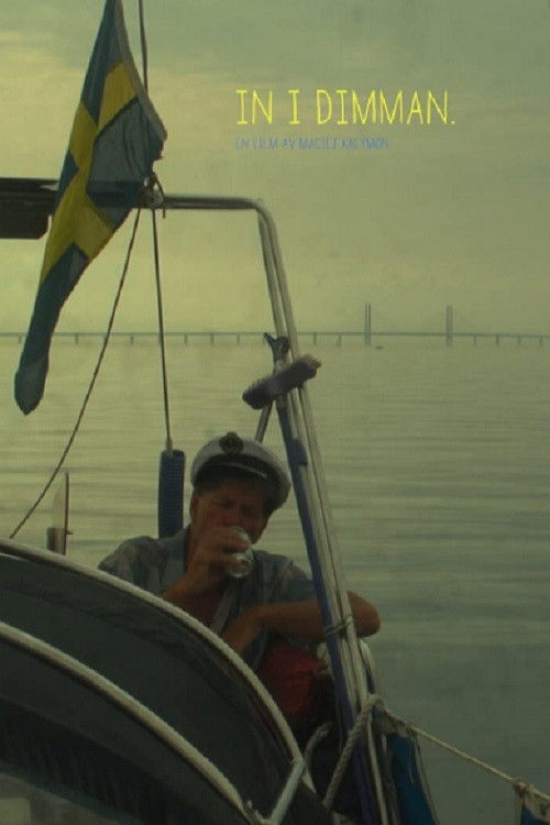 Into the Fog (2021) poster