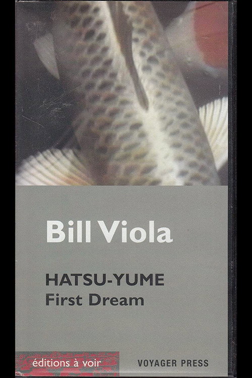 Hatsu Yume (First Dream) (1981) poster