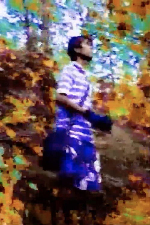 The Wandering Ghosts (2017) poster