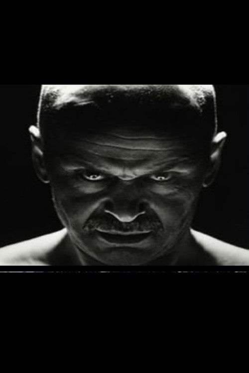 Turkan lapset (1994) poster