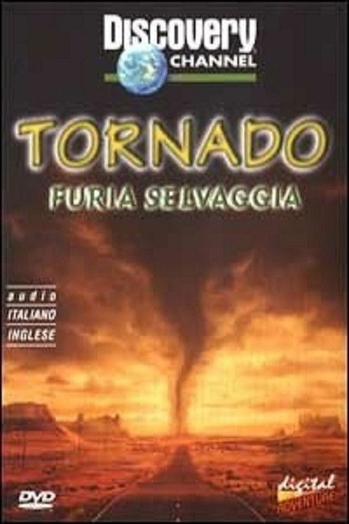 Tornado Chasers (2000) poster