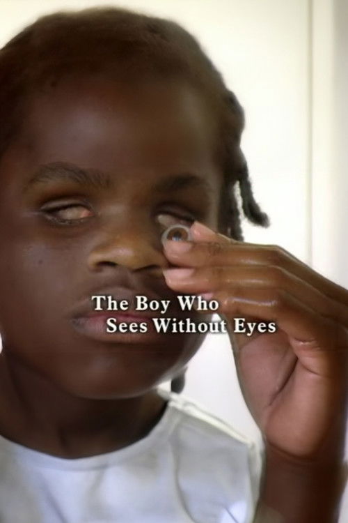 The Boy Who Sees Without Eyes (2007) poster